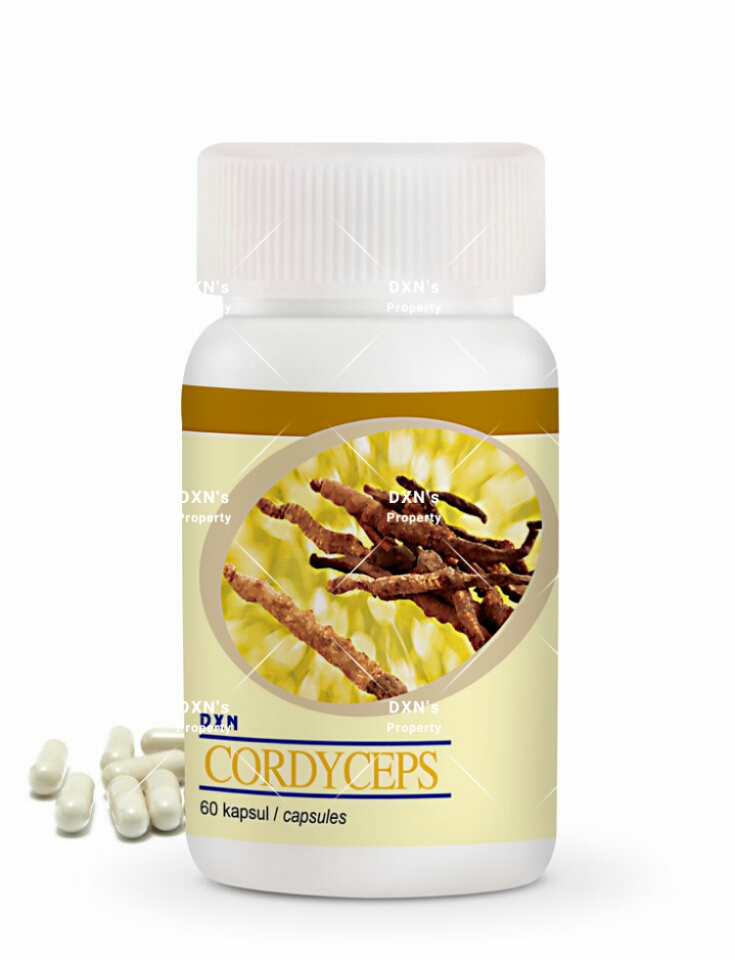 DXN Cordyceps