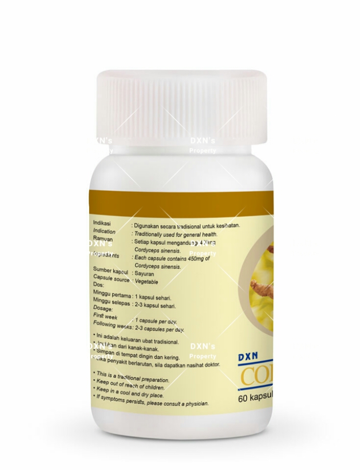 DXN Cordyceps