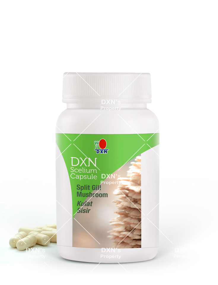 DXN Scelium Capsule